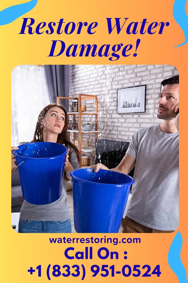 water restoration Peak Water Cleanup Team Chaseburg