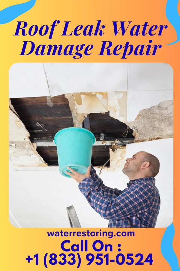 Roof Leak Water Damage Repair in Chaseburg, WI