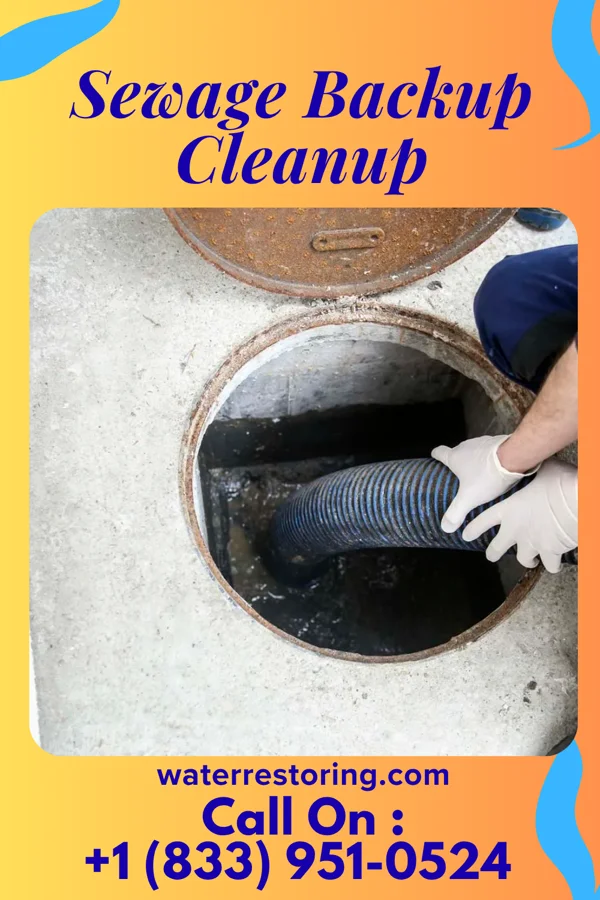 Sewage Backup Cleanup in Chaseburg, WI