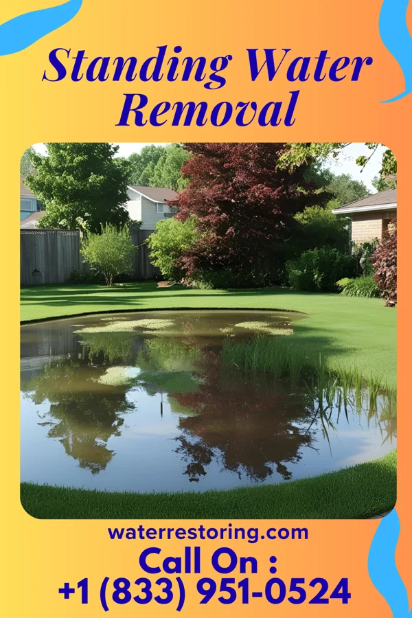 Standing Water Removal in Chaseburg, WI
